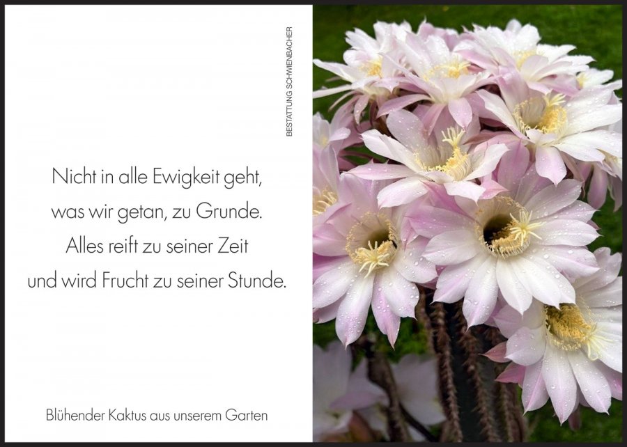 Sterbebild: Sebastian Marseiler