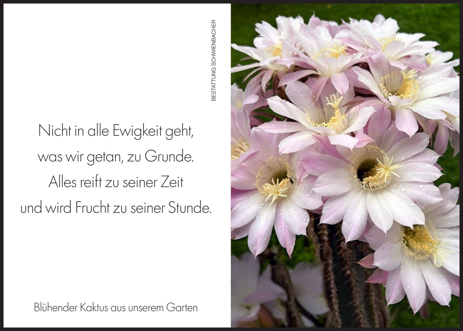 Sterbebild: Sebastian Marseiler